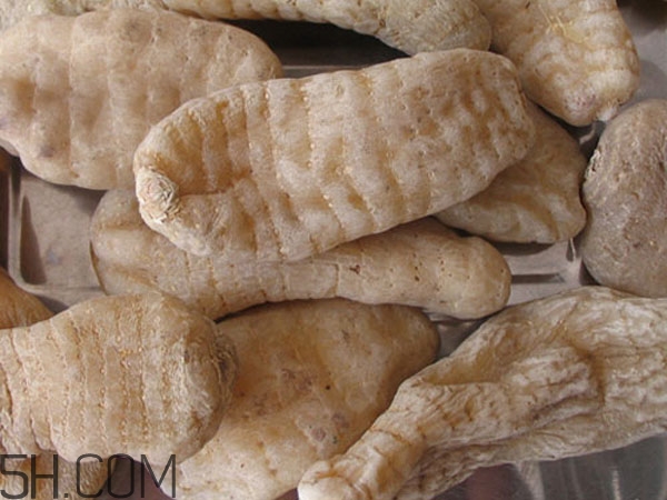 天麻能泡水喝嗎？吃天麻有什么作用？
