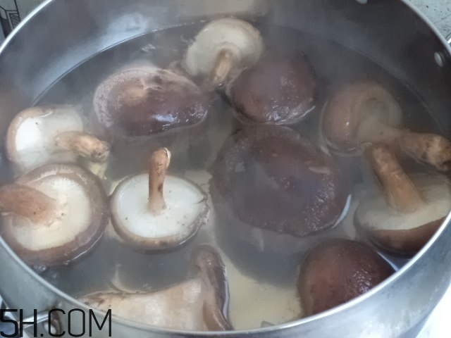 香菇和白蘿卜可以一起吃嗎？香菇和白蘿卜一起吃有什么好處？