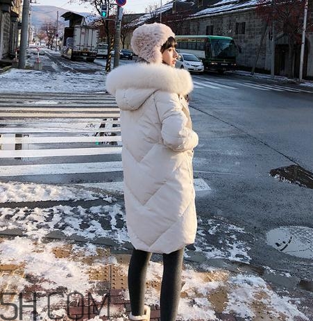 鵝絨羽絨服大概多少錢？白鵝絨羽絨服多少錢一件？