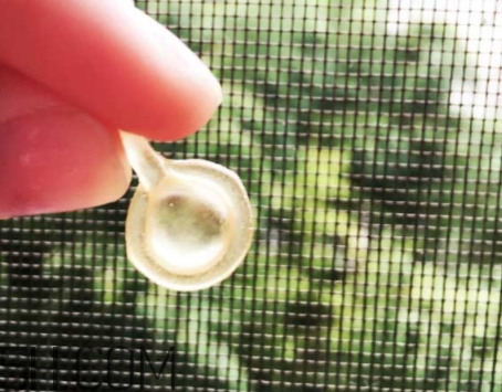 雅頓眼膠和面膠區(qū)別 雅頓眼膠和面膠可以一起用嗎？