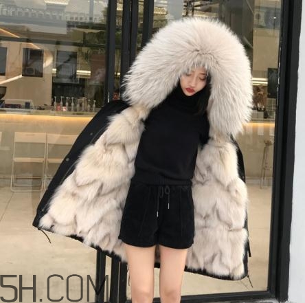 派克大衣內(nèi)膽什么毛好？派克服什么內(nèi)膽好？
