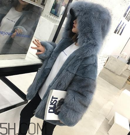 獺兔毛皮草一千元貴嗎？獺兔毛皮草2018年價(jià)格
