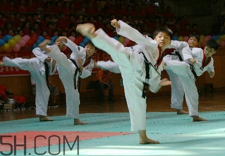 武術(shù)和跆拳道哪個對孩子好？武術(shù)和跆拳道的區(qū)別在哪里？