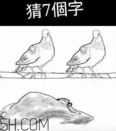 52422696代表什么意思？女生發(fā)52422696暗示什么