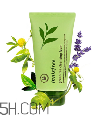 悅詩風(fēng)吟綠茶洗面奶是皂基嗎？悅詩風(fēng)吟綠茶洗面奶成分