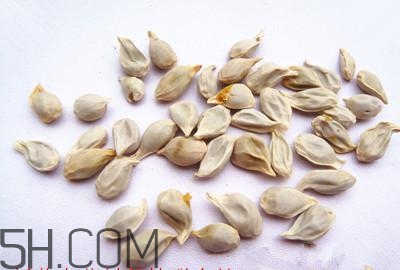 不小心吃了橘子籽怎么辦？橘子籽可以生吃嗎？