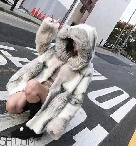 十字貂和水貂哪個好？十字貂和水貂哪個貴？