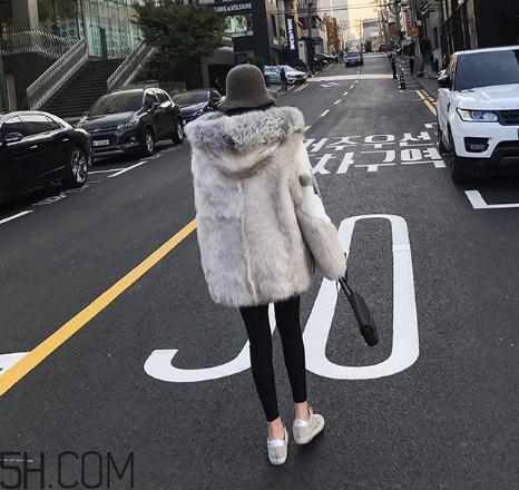 十字貂和水貂哪個好？十字貂和水貂哪個貴？
