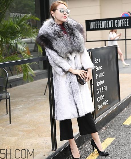 丹麥貂好還是美國貂好？丹麥貂和美國貂的區(qū)別