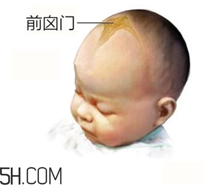 寶寶囟門是怎樣的一個(gè)部位？寶寶的囟門要怎樣保護(hù)比較好？
