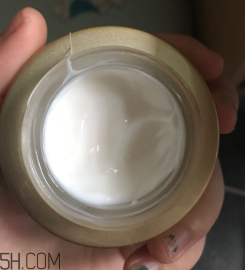 詩婷露雅蝸牛面霜適合秋冬嗎？適合油皮嗎？