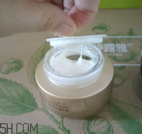 詩婷露雅蝸牛面霜適合秋冬嗎？適合油皮嗎？