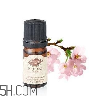 丁香精油怎么用？丁香精油的功效與作用？