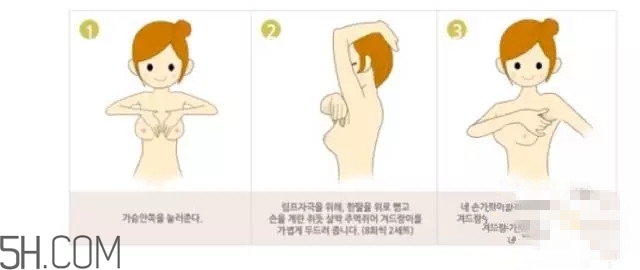 常見的豐胸湯有哪些？女人豐胸湯有哪些？