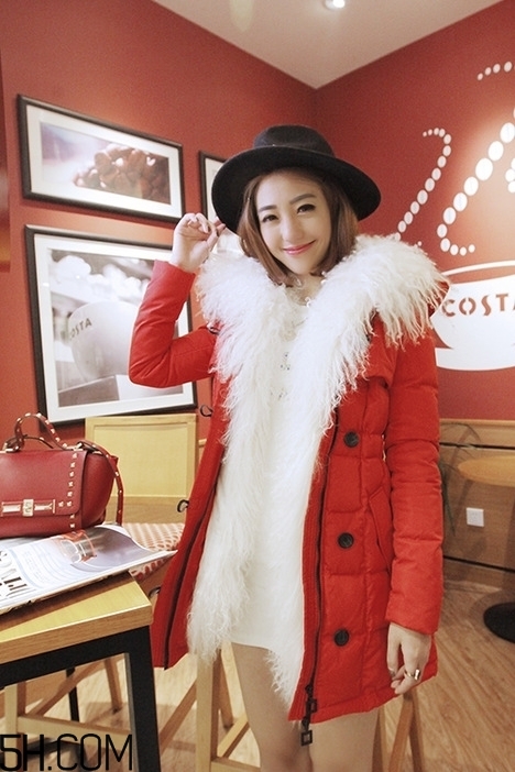 最貴的羽絨服什么價(jià)格？羽絨服什么牌子的好？