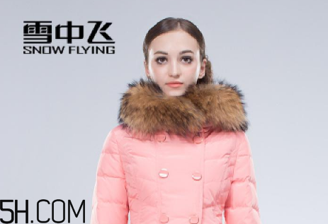 最貴的羽絨服什么價(jià)格？羽絨服什么牌子的好？
