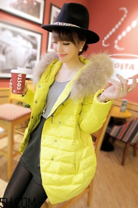 最貴的羽絨服什么價(jià)格？羽絨服什么牌子的好？