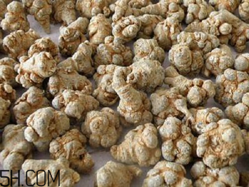 三七粉苦的好還是不苦的好？三七粉越苦越好嗎？