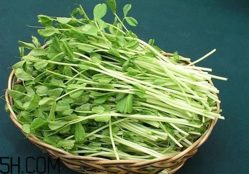 女性吃什么能瘦臉？能瘦臉的食物有哪些？