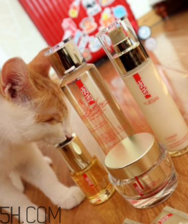 羽西蟲草新肌水有什么功效？適合什么膚質(zhì)？