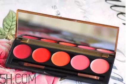 2018年口紅盤哪個牌子好？2018口紅盤排行榜前十強(qiáng)