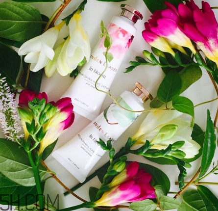 linden leaves香氛護手霜好用嗎？laura ashley護手霜好用嗎？