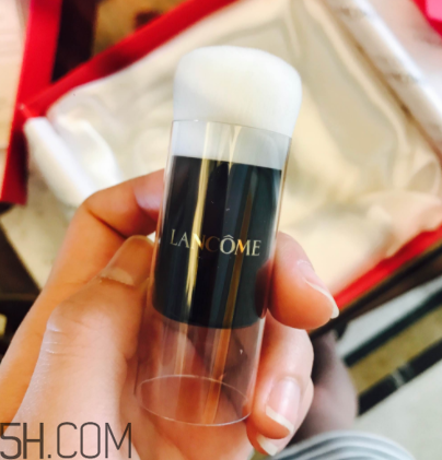 蘭蔻菁純氣墊粉底液110號(hào)色適合黃皮嗎？真人試色
