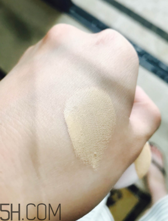 蘭蔻菁純氣墊粉底液110號(hào)色適合黃皮嗎？真人試色