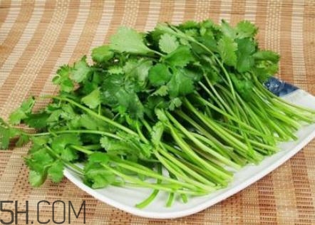 香菜根煮水怎么煮？香菜根煮水喝幾天見效？