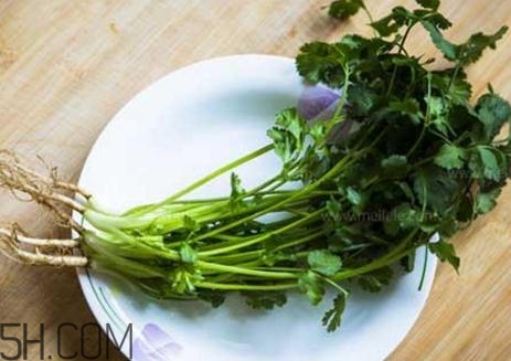 香菜根煮水能減肥嗎？香菜根煮水能天天喝嗎？