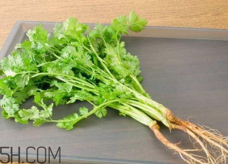 香菜根煮水能美白嗎？香菜根煮水能祛斑嗎？