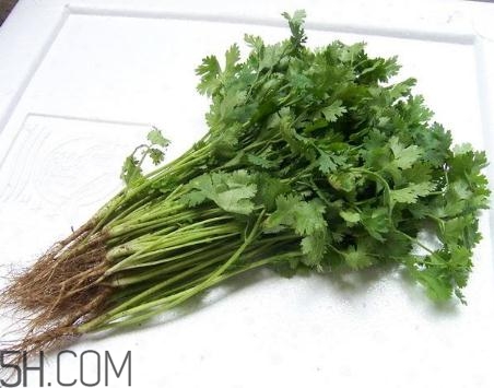 香菜根煮水能美白嗎？香菜根煮水能祛斑嗎？