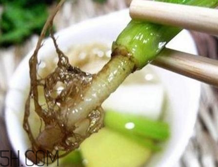 香菜根煮水能美白嗎？香菜根煮水能祛斑嗎？
