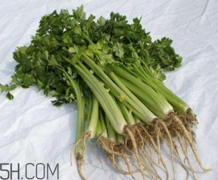 香菜根煮水能退燒嗎？香菜根煮水能治咳嗽嗎？