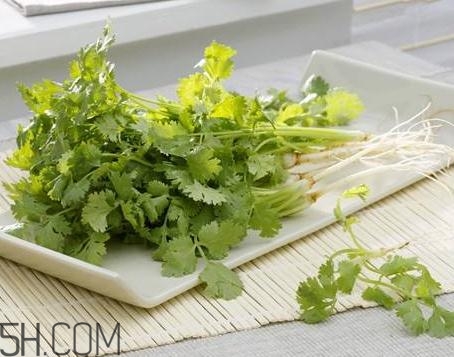 香菜根煮水能治濕疹嗎？香菜根煮水孕婦能喝嗎？