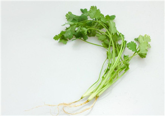 香菜根煮水能治濕疹嗎？香菜根煮水孕婦能喝嗎？