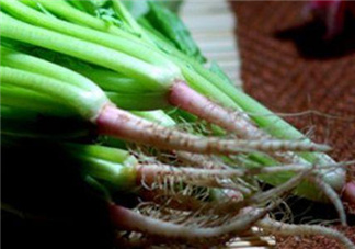 香菜根煮水能美白嗎？香菜根煮水能祛斑嗎？