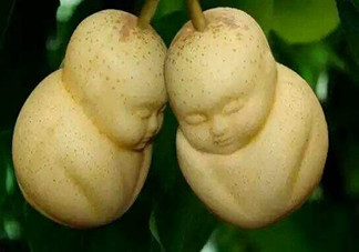 女人吃人參果有哪些好處？人參果的營養(yǎng)價值是什么？