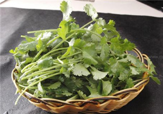 香菜根煮水能減肥嗎？香菜根煮水能天天喝嗎？