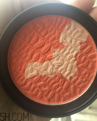 瑪麗黛佳腮紅怎么打？瑪麗黛佳腮紅怎么用？