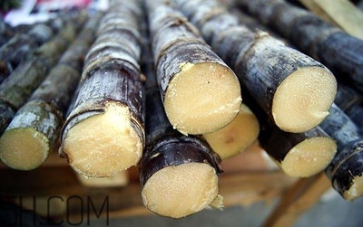 甘蔗和橙子能一起吃嗎？吃完甘蔗可以吃橙子嗎？