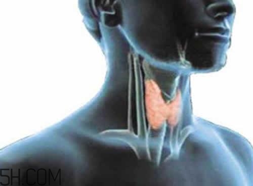 甲狀腺腫大和甲亢的區(qū)別有哪些？甲狀腺腫大適合吃什么食物？