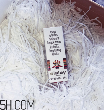 sisley希思黎抗氧保濕唇膏好用嗎？希思黎抗氧保濕唇膏測評