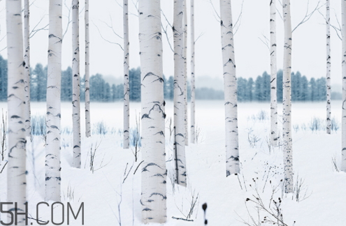 養(yǎng)生堂樺樹汁面膜多少錢一盒 養(yǎng)生堂樺樹汁面膜多價(jià)格 養(yǎng)生堂樺樹汁面膜多少錢一盒 養(yǎng)生堂樺樹汁面膜多價(jià)格