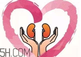 腎不好會(huì)早衰越長(zhǎng)越矮？護(hù)腎千金方早用早好