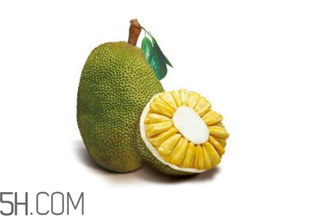 為什么吃菠蘿蜜拉肚子？吃菠蘿蜜拉肚子怎么辦？
