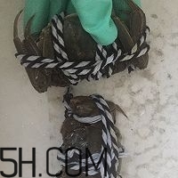 冬天可以吃大閘蟹嗎？冬天怎么吃大閘蟹？