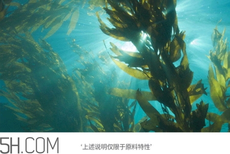 jmsolution珍珠面膜多少錢？jm珍珠面膜好用不過(guò)百元