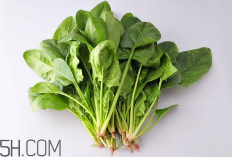 羊肉和菠菜能一起吃嗎？吃羊肉能吃菠菜嗎？
