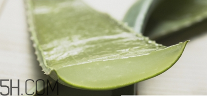 蘆薈膠祛痘效果好嗎？蘆薈膠真的會祛痘